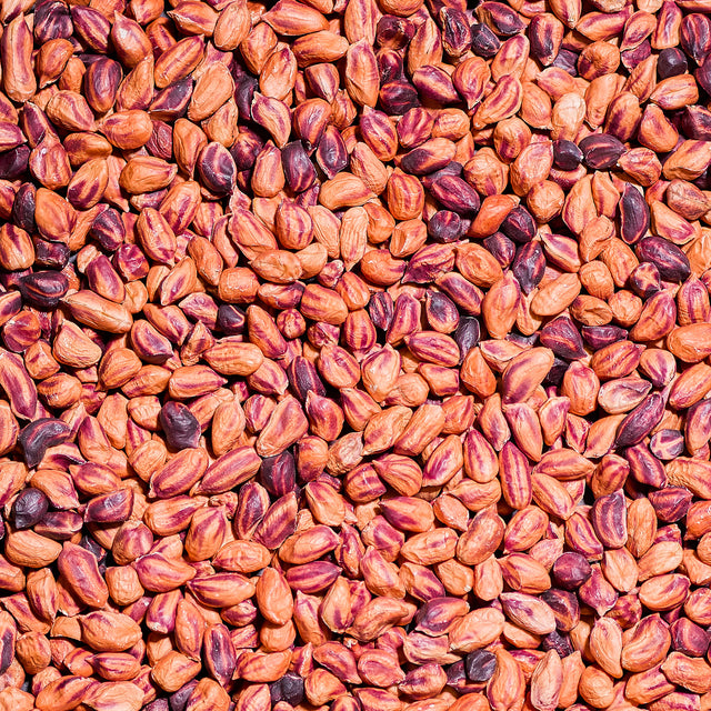 Organic Raw Wild Jungle Peanuts