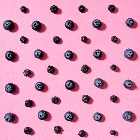 Freeze-Dried Wild Blueberries