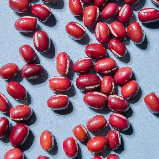 Organic Adzuki Beans