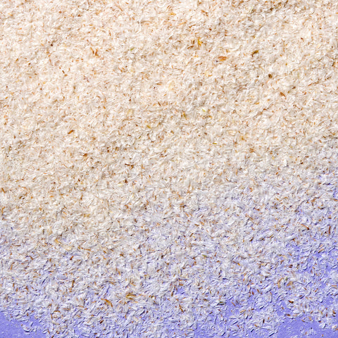 Organic Psyllium Whole Husks