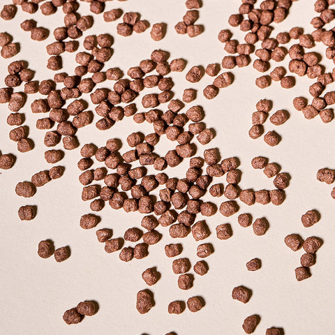 Cocoa Soy Protein Crispies, 58% Protein